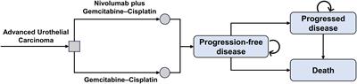 Cost-effectiveness of nivolumab plus gemcitabine-cisplatin as first-line treatment for advanced urothelial carcinoma in China and the United States